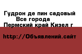 Гудрон де пин садовый - Все города  »    . Пермский край,Кизел г.